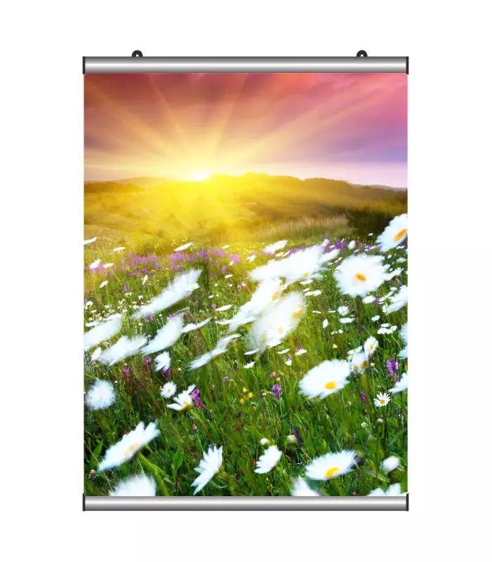 Poster Tutucu 100 cm