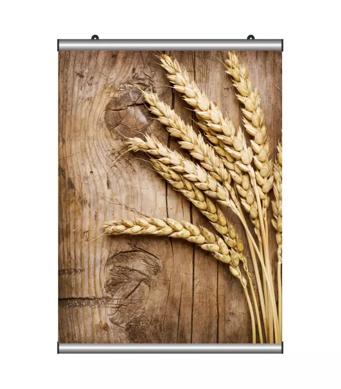 Poster Tutucu 30 cm