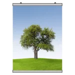Poster Tutucu 60 cm
