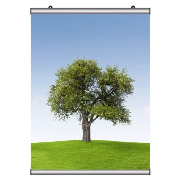 Poster Tutucu 60 cm