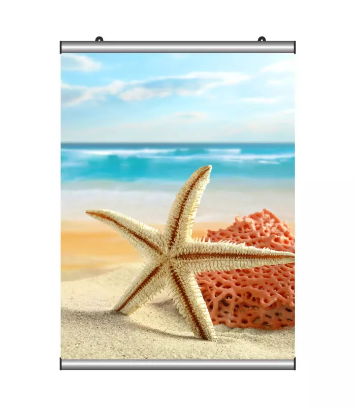Poster Tutucu 70 cm